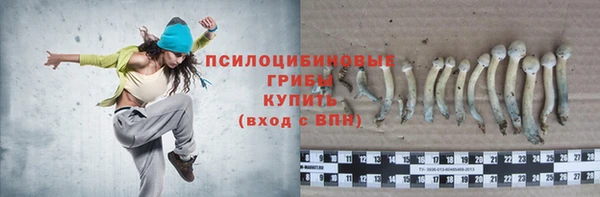 прущая мука Приозерск